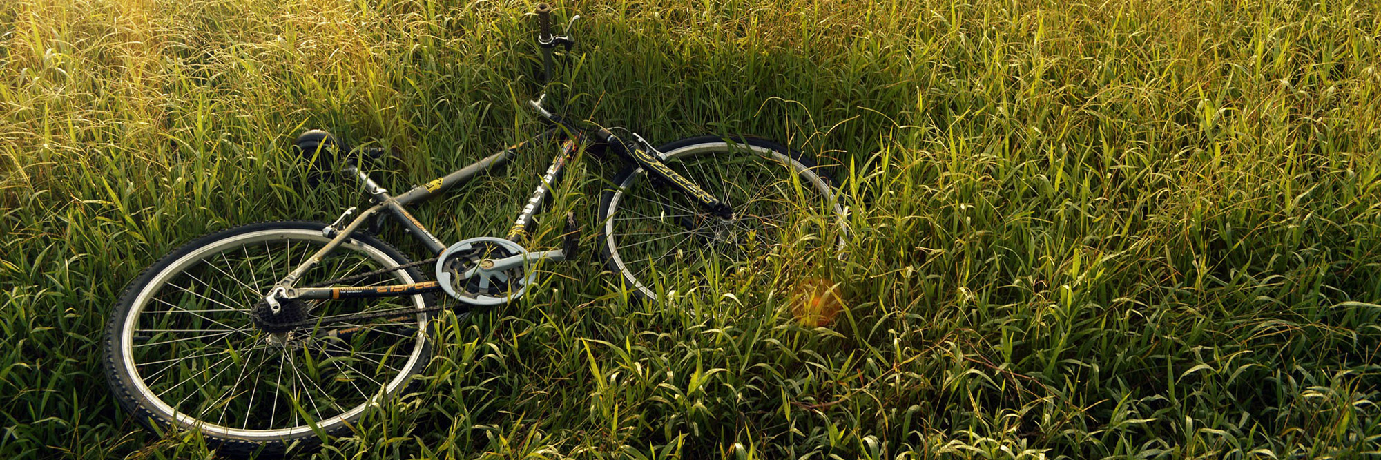 bicycle-241514.jpg